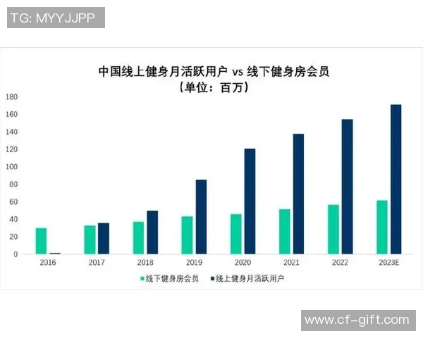 体育数据模型报告发布